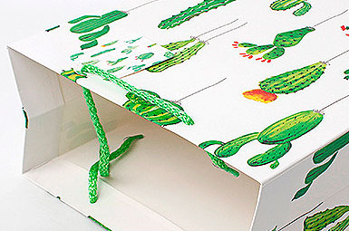 картинка Подарочный пакет «World of cactus» средний от магазина Без Проблем