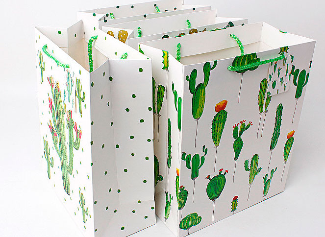картинка Подарочный пакет «World of cactus» средний от магазина Без Проблем