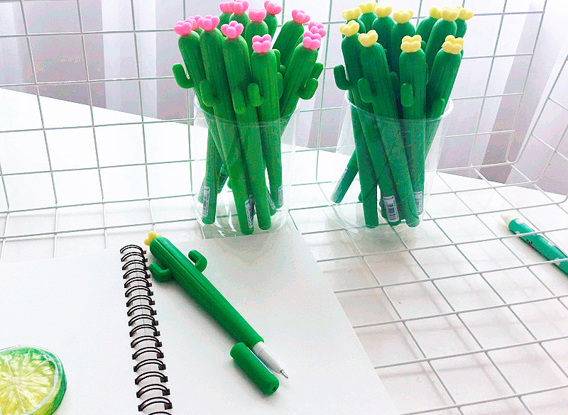 картинка Ручка «Цветочный кактус» от магазина Без Проблем